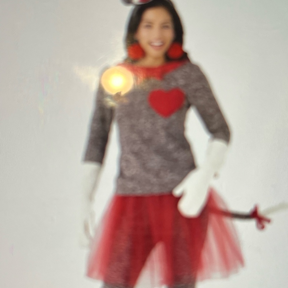 Costume- Ladies Sock Monkey Costume